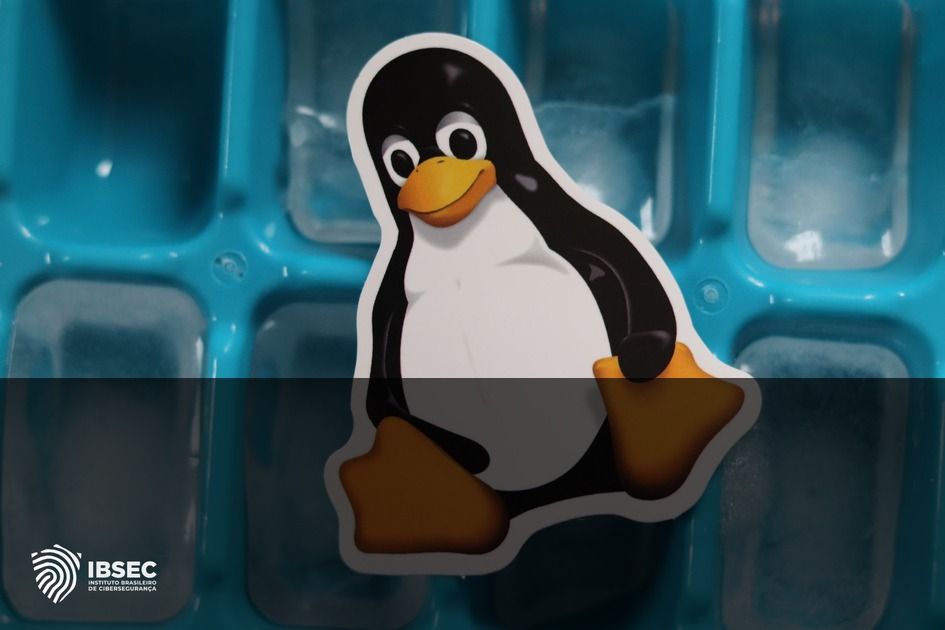Vulnerabilidades Críticas no Linux e Red Hat: Ação Imediata