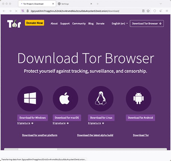 Página de download do software Tor para Windows, macOS, Linux e Android.